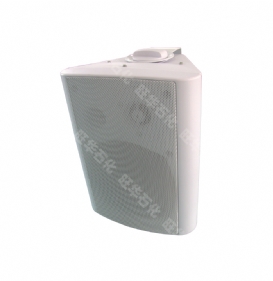 室內壁掛式音箱